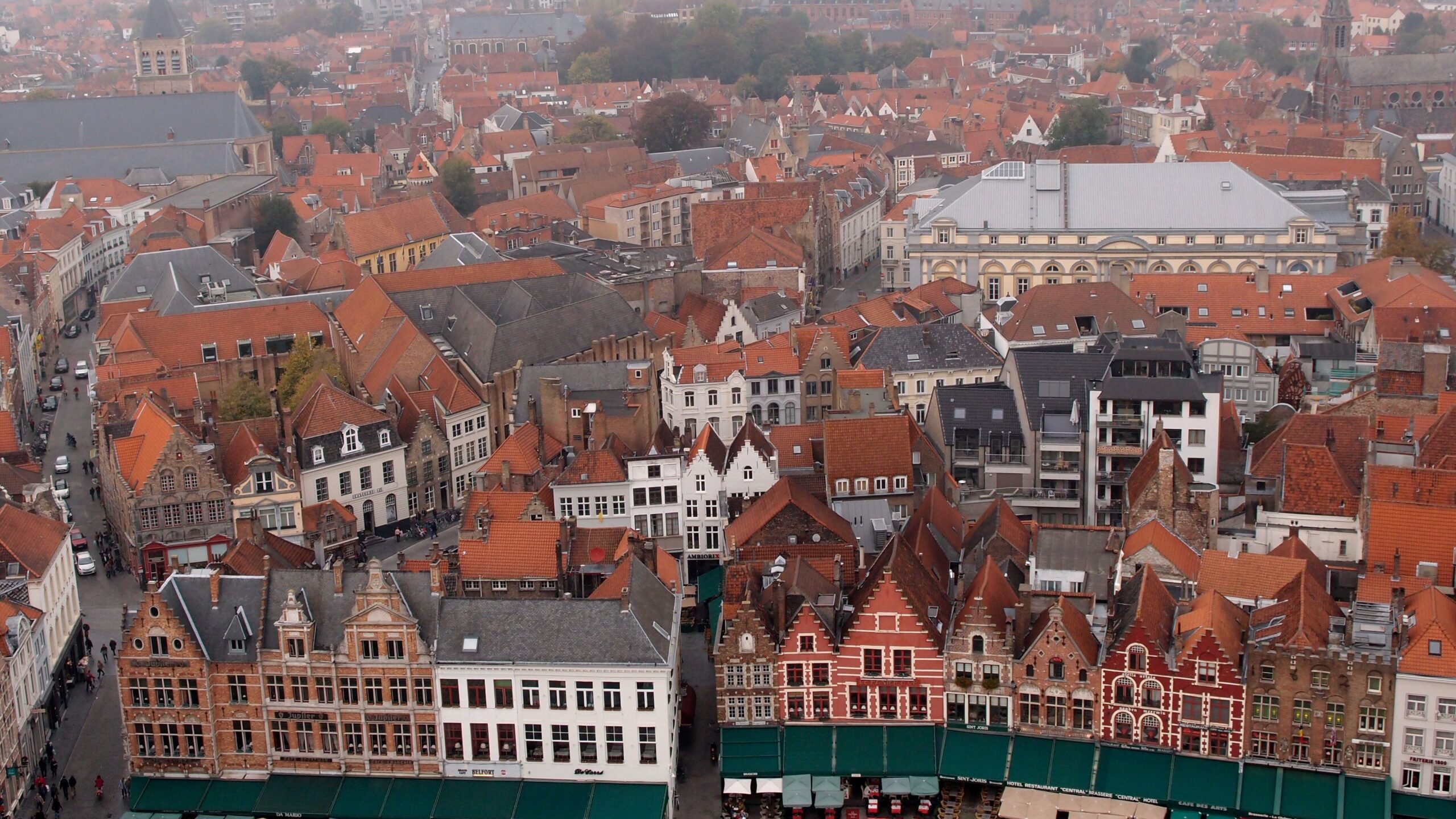 syndic brugge